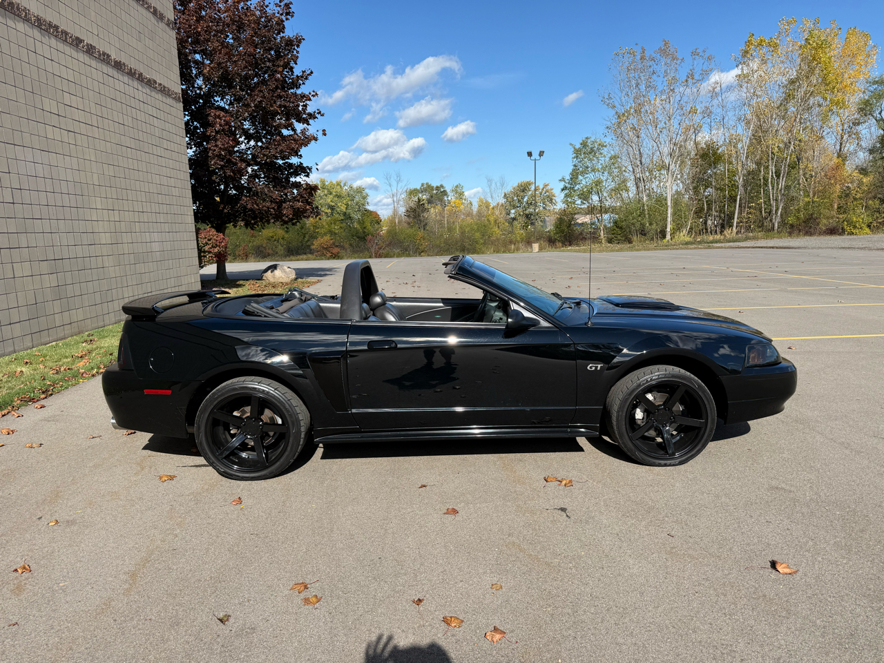 Ford Mustang GT Deluxe Convertible 2002