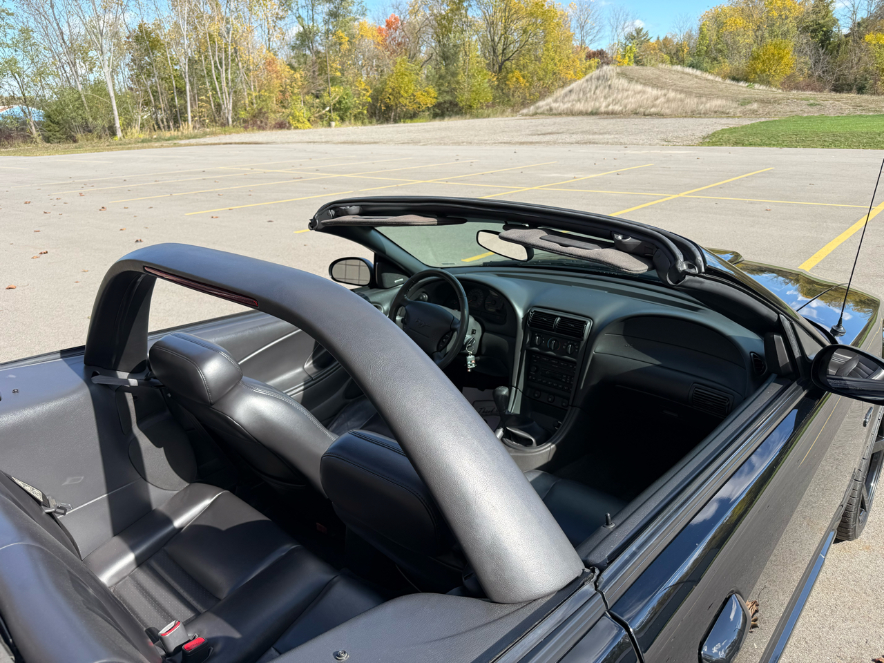 Ford Mustang GT Deluxe Convertible 2002