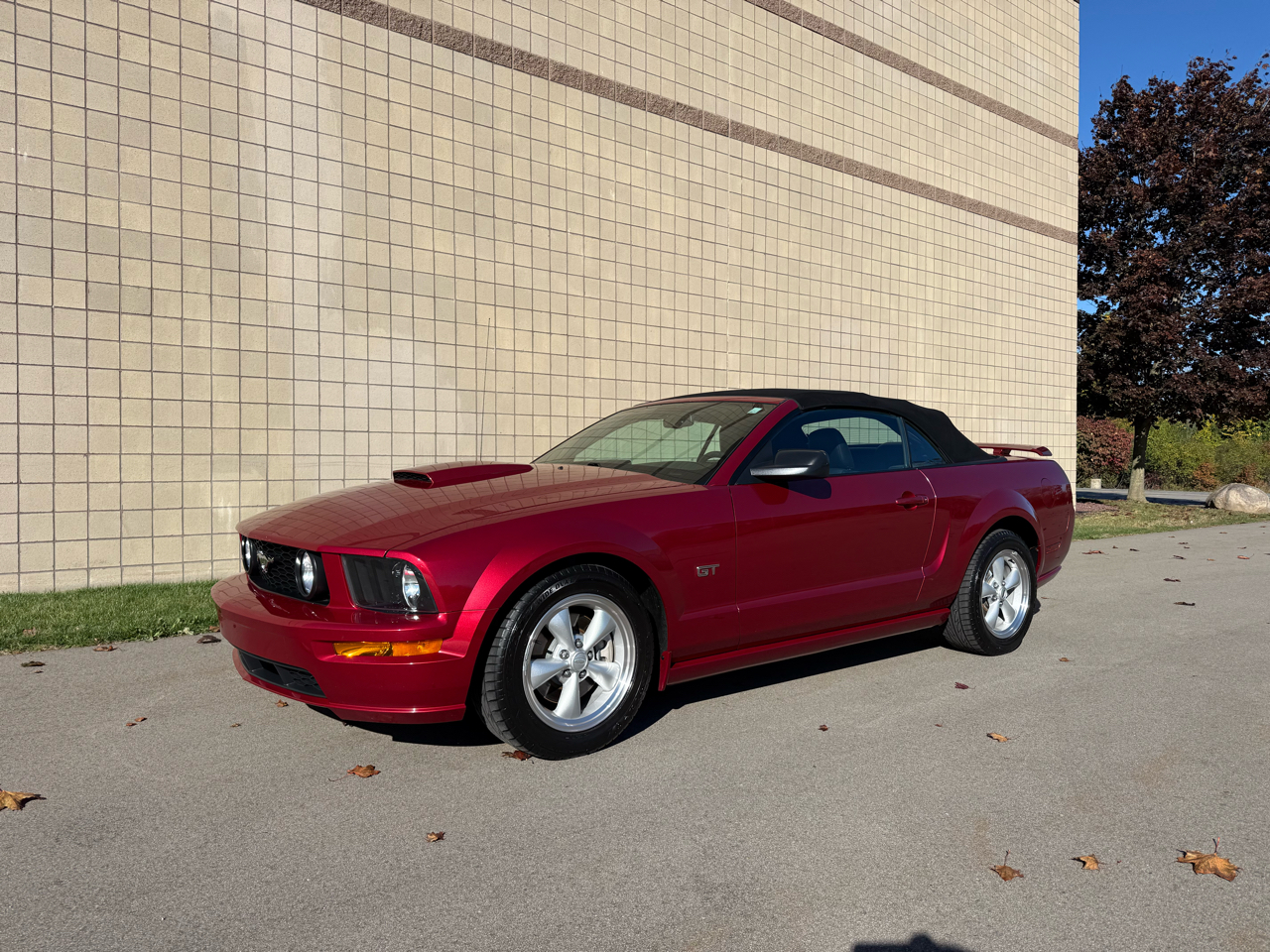 Ford Mustang GT Deluxe Convertible 2007