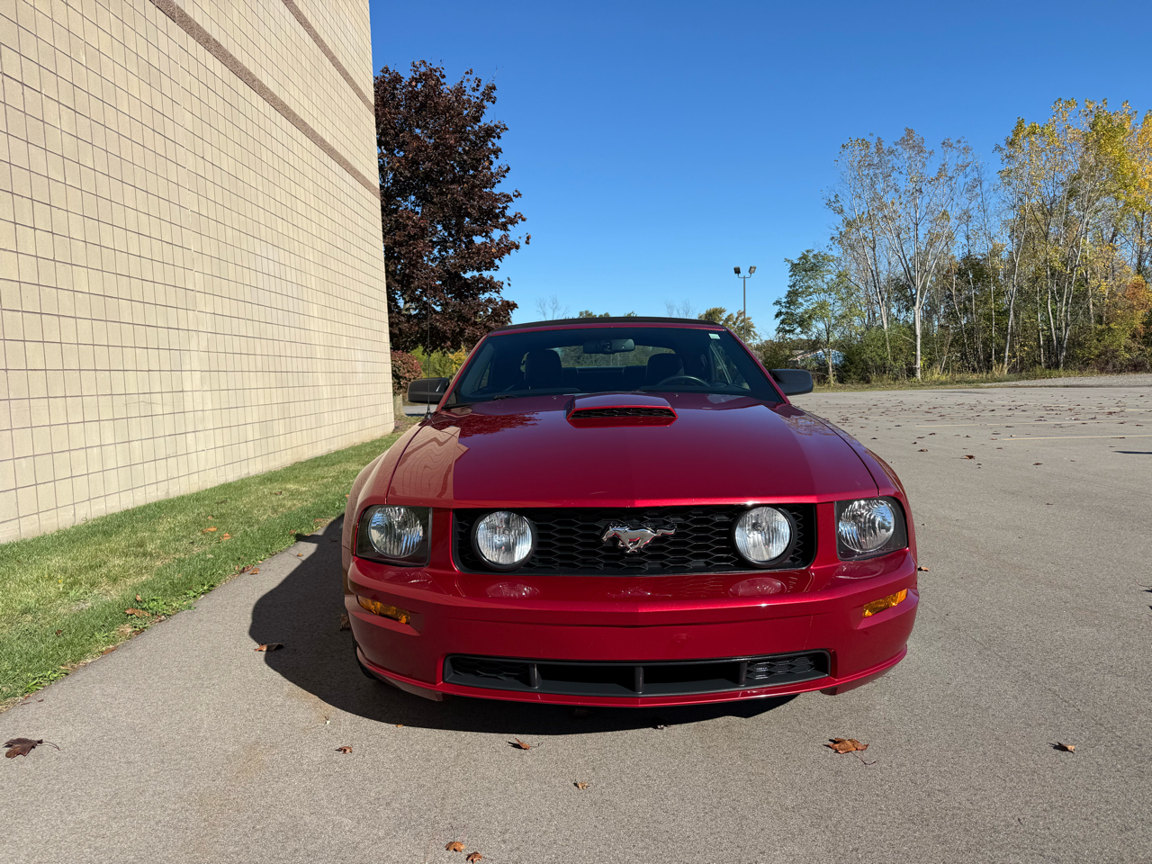 Ford Mustang GT Deluxe Convertible 2007