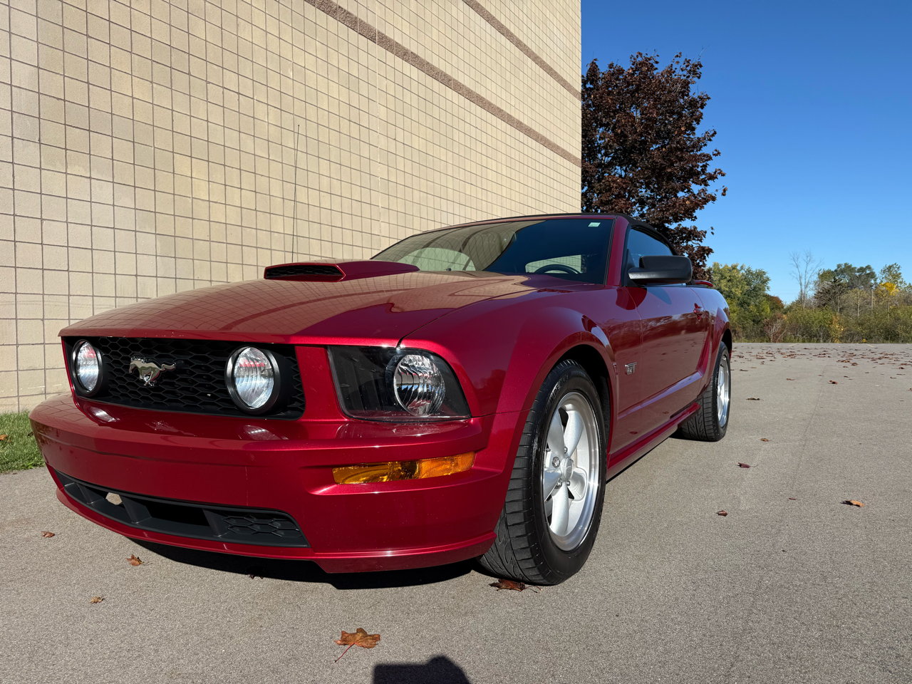 Ford Mustang GT Deluxe Convertible 2007