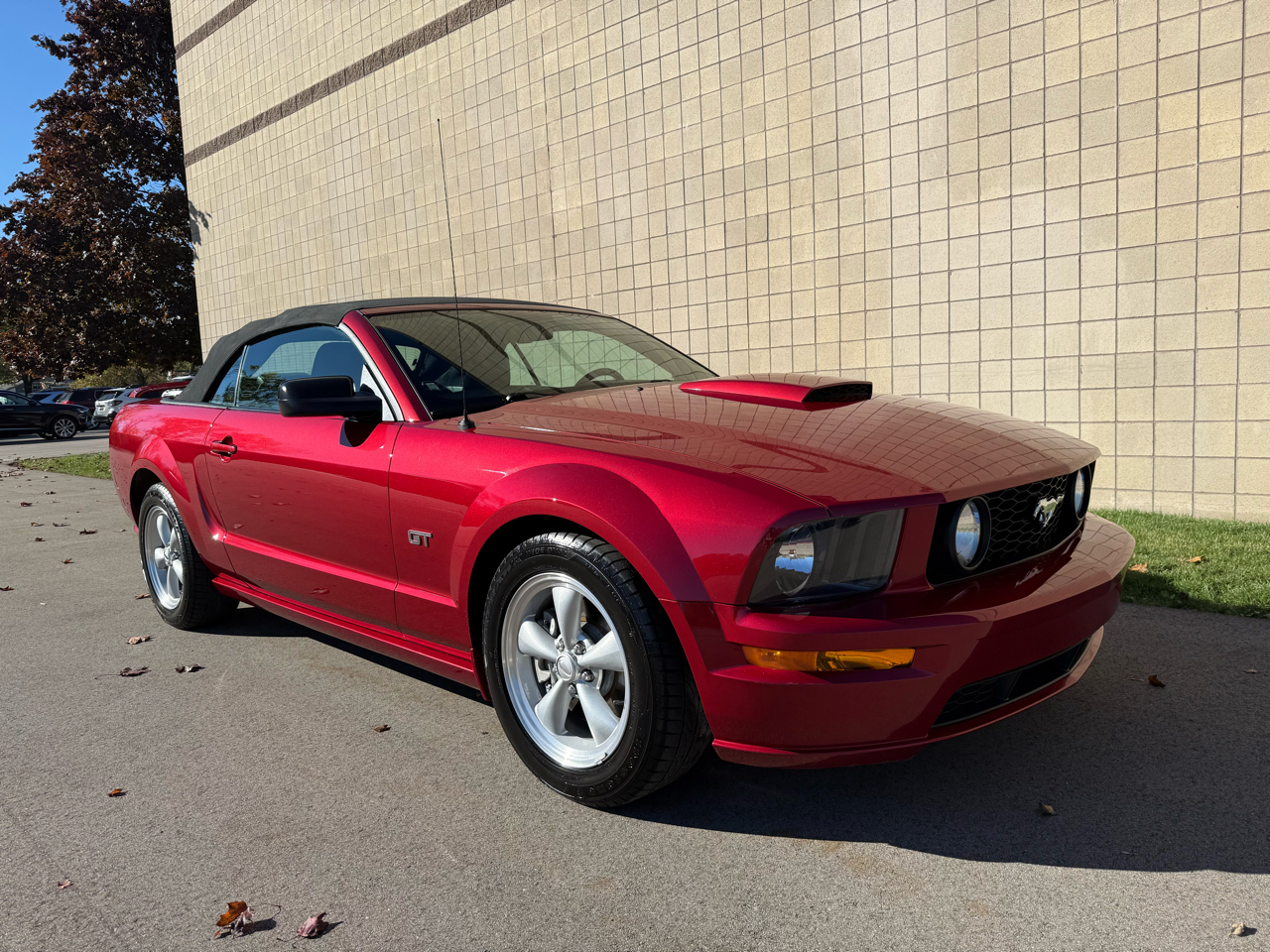 Ford Mustang GT Deluxe Convertible 2007