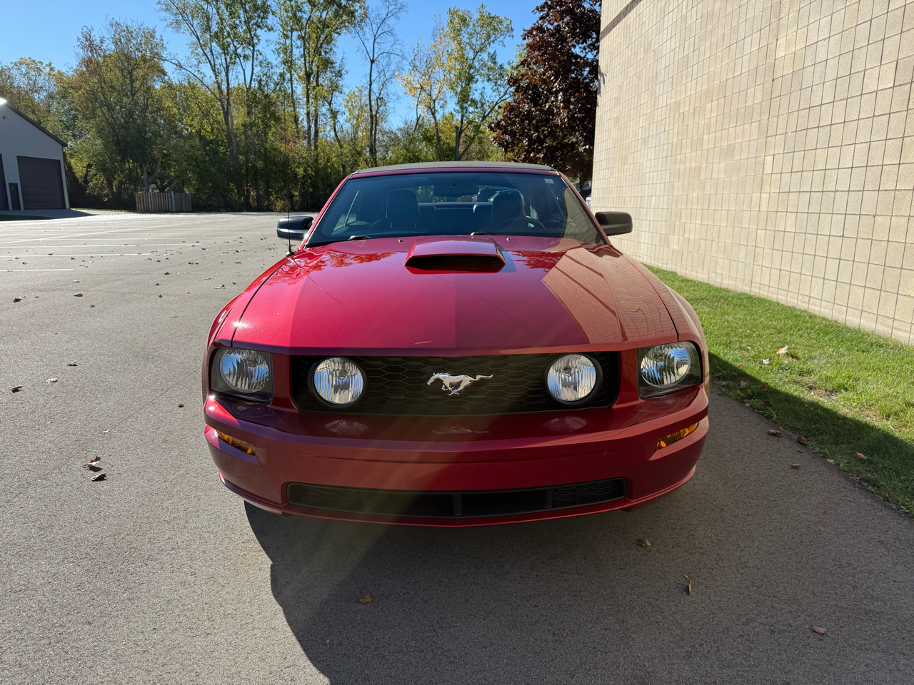 Ford Mustang GT Deluxe Convertible 2007
