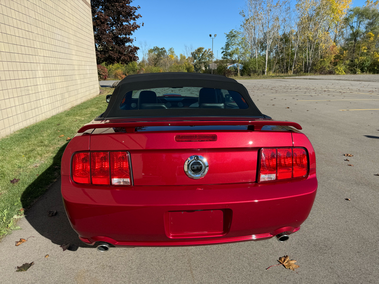 Ford Mustang GT Deluxe Convertible 2007