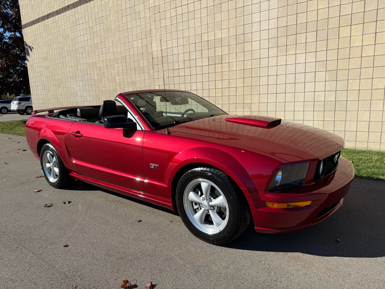 Ford Mustang GT Deluxe Convertible 2007