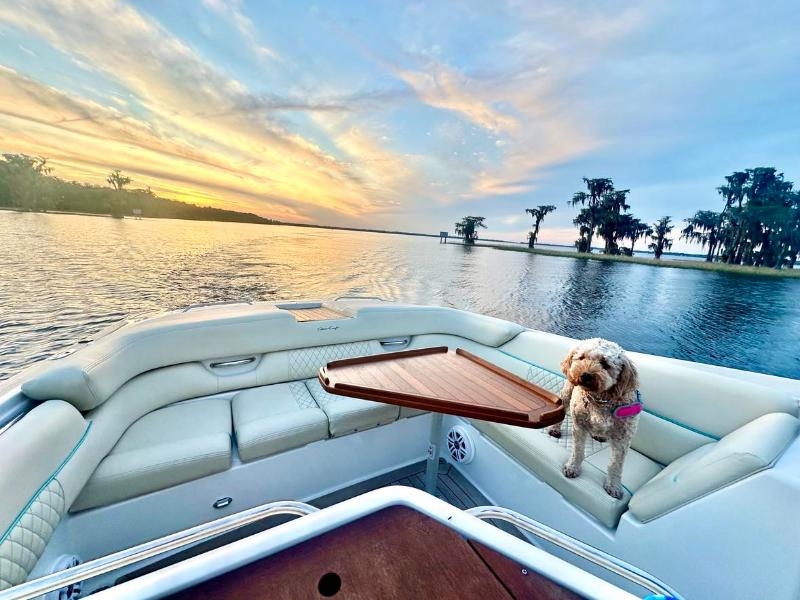 Chris-Craft Cabin Cruiser  2004