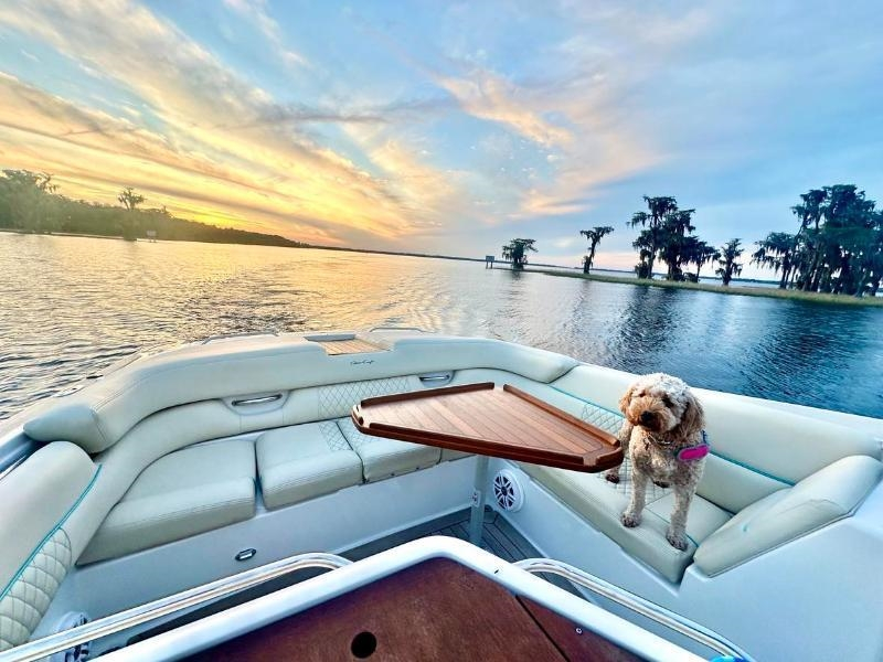 Chris-Craft Cabin Cruiser  2004