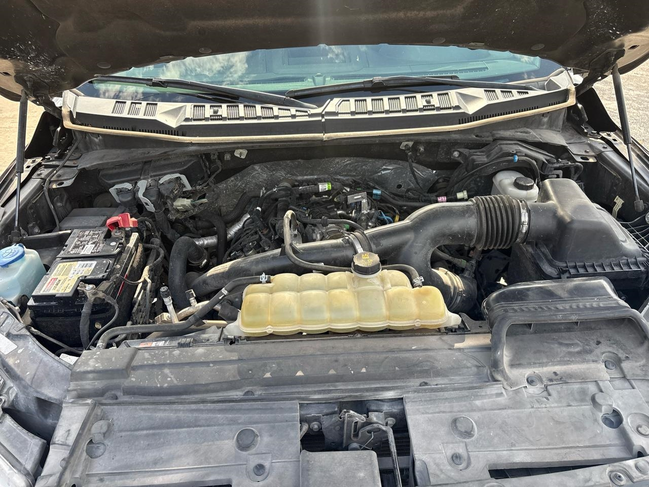 Ford F-150 XLT SuperCrew 6.5-ft. Bed 4WD 2019