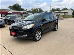 2013 Ford Escape  2013 Ford Escape