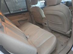 2009 Hyundai Santa Fe 