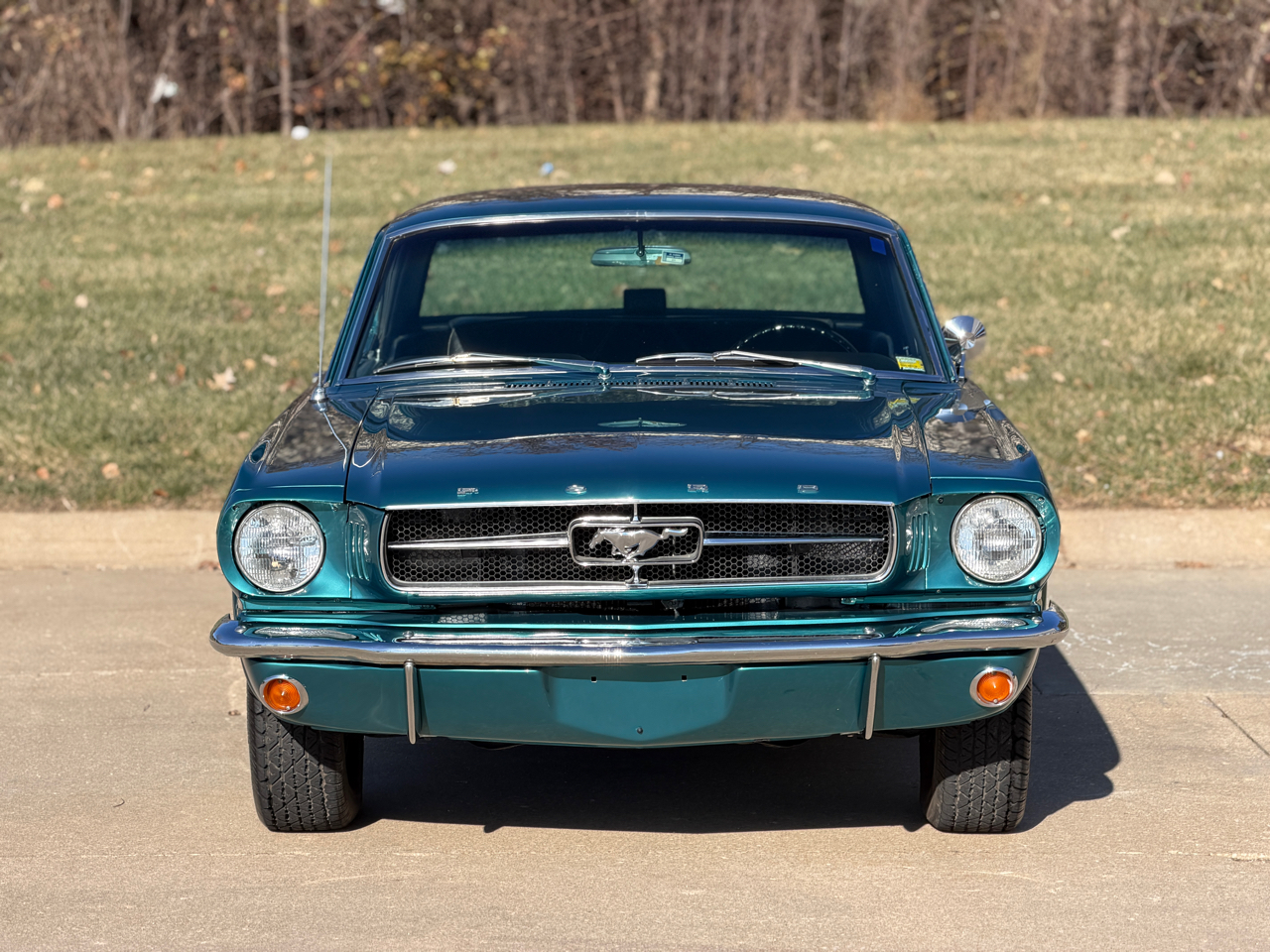 Ford Mustang 2dr Cpe 1965