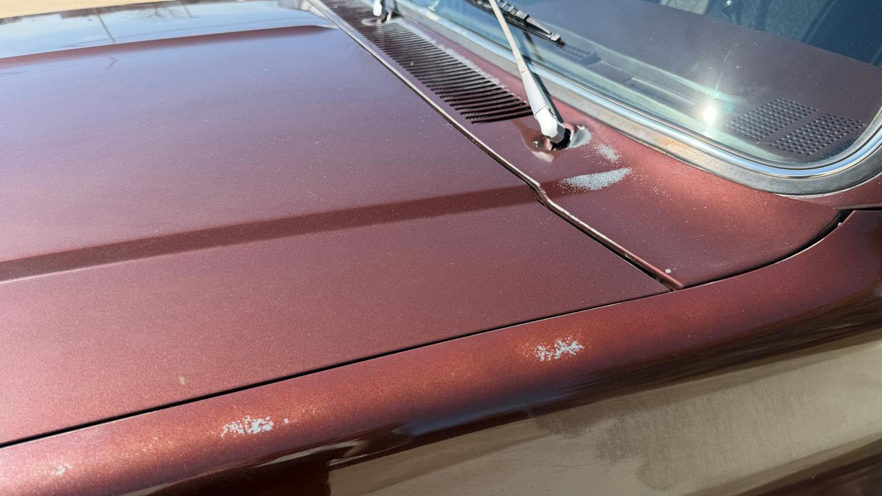 Chevrolet C/K 20  1983