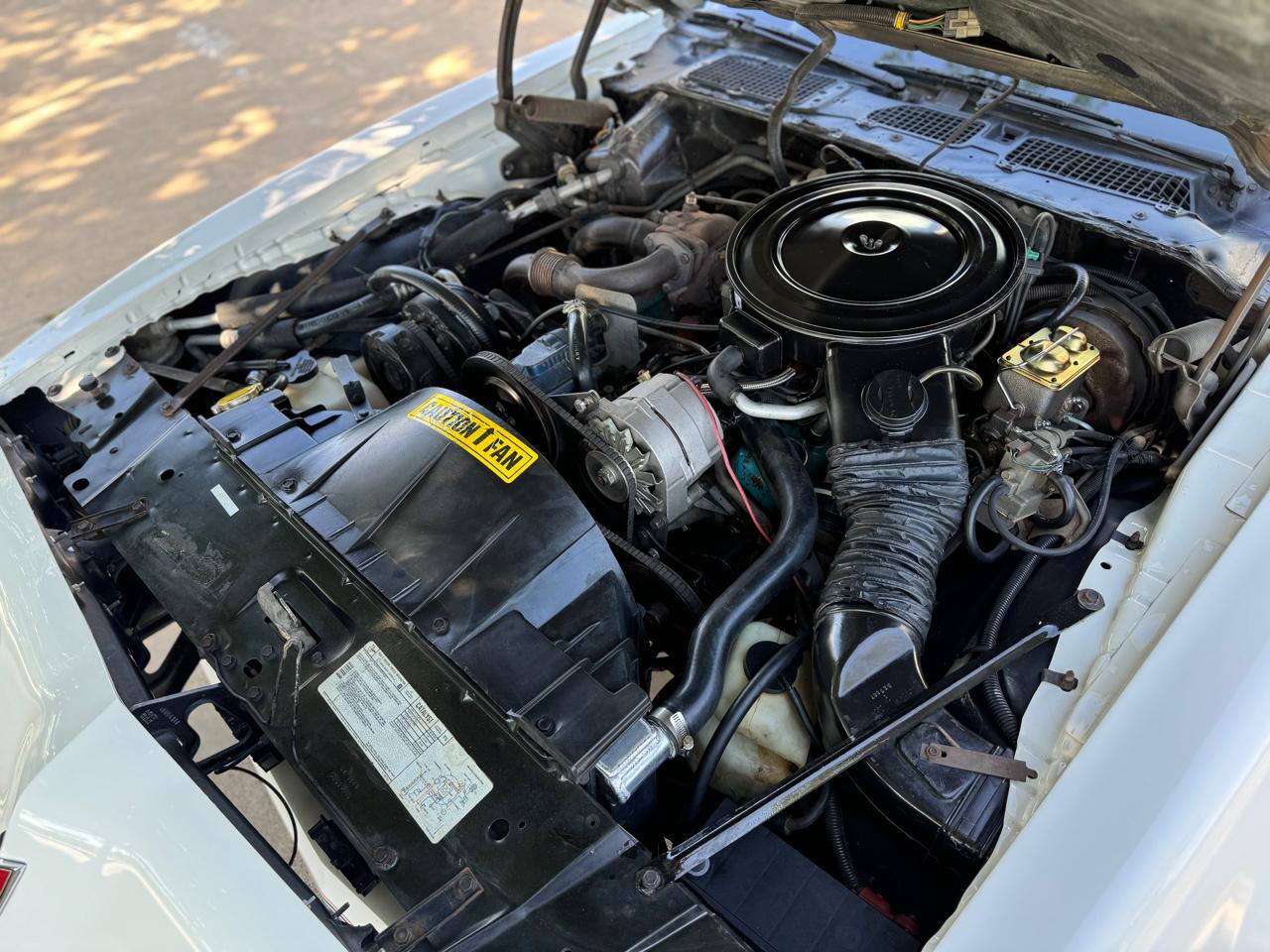Pontiac Firebird Trans Am  1980