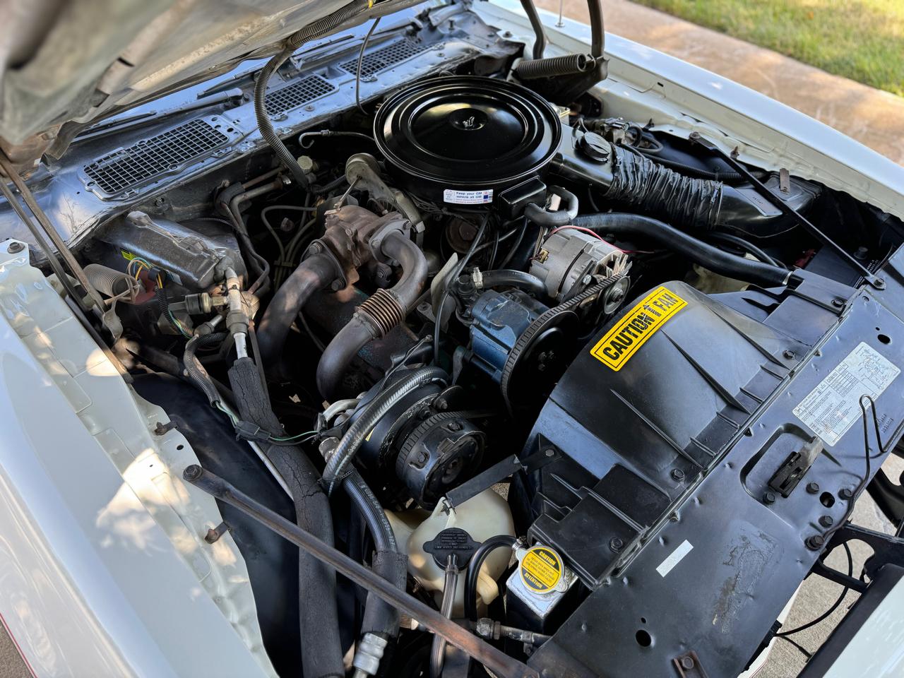 Pontiac Firebird Trans Am  1980