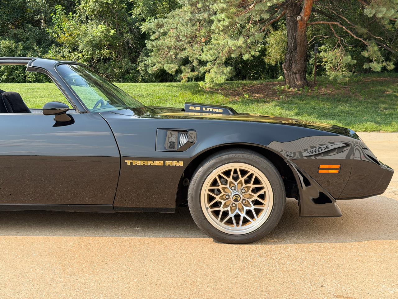 Pontiac Firebird Trans Am  1979