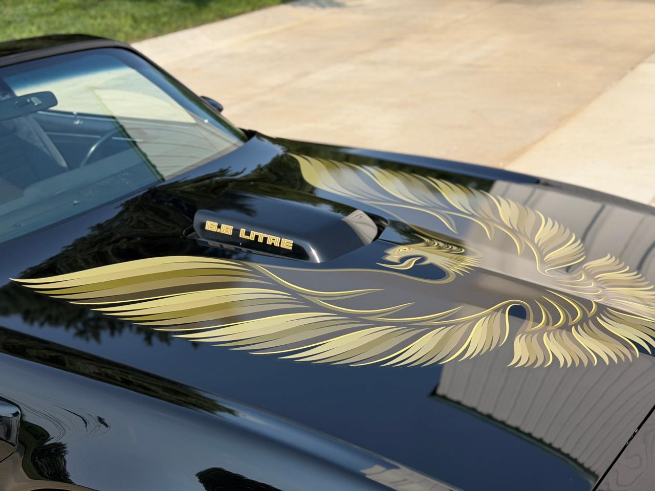 Pontiac Firebird Trans Am  1979