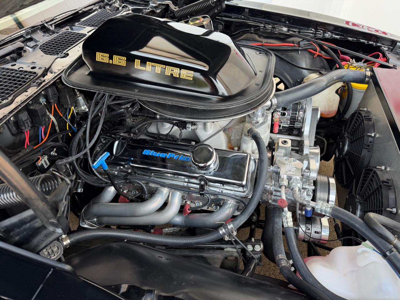 Pontiac Firebird Trans Am  1979
