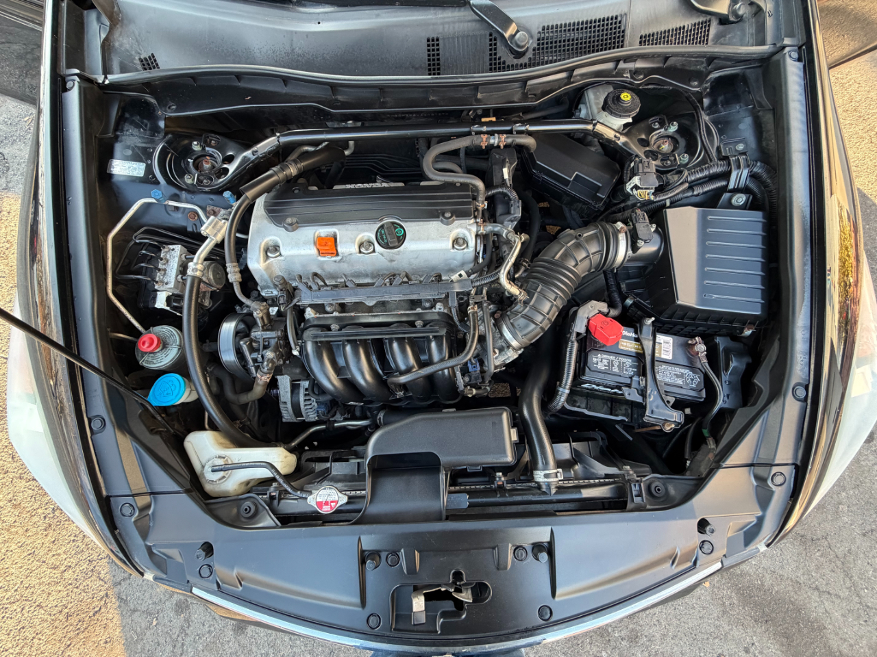 Honda Accord EX-L 2010