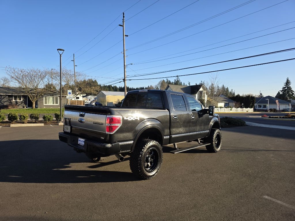 Ford F-150 4WD SuperCrew 145" Platinum 2010