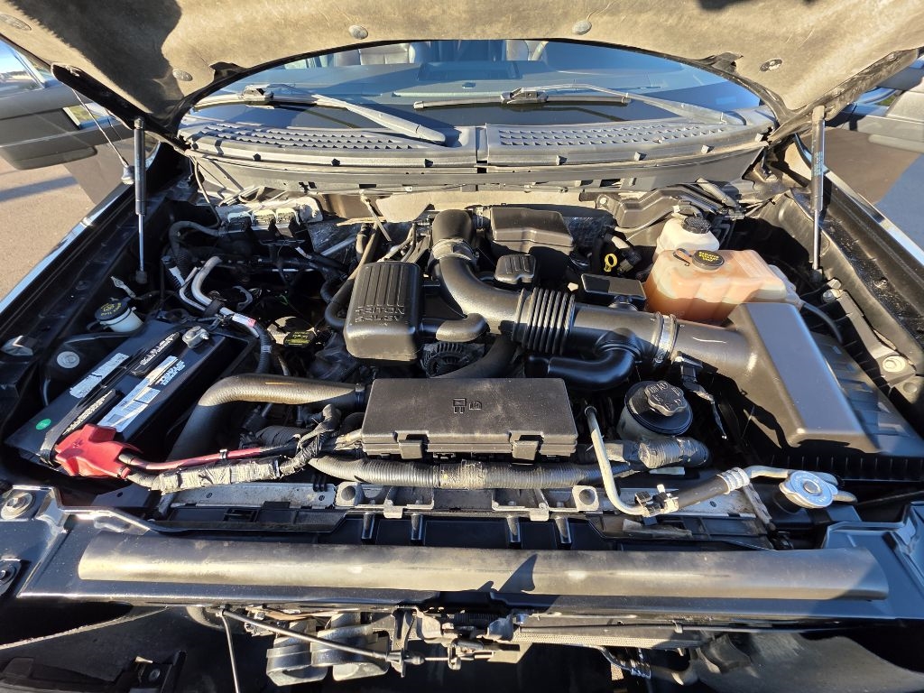 Ford F-150 4WD SuperCrew 145" Platinum 2010