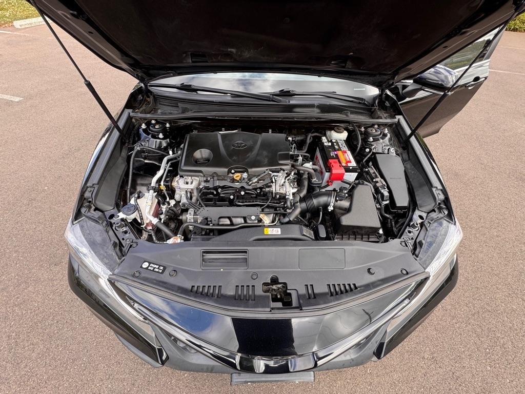 Toyota Camry XLE Auto (Natl) 2019