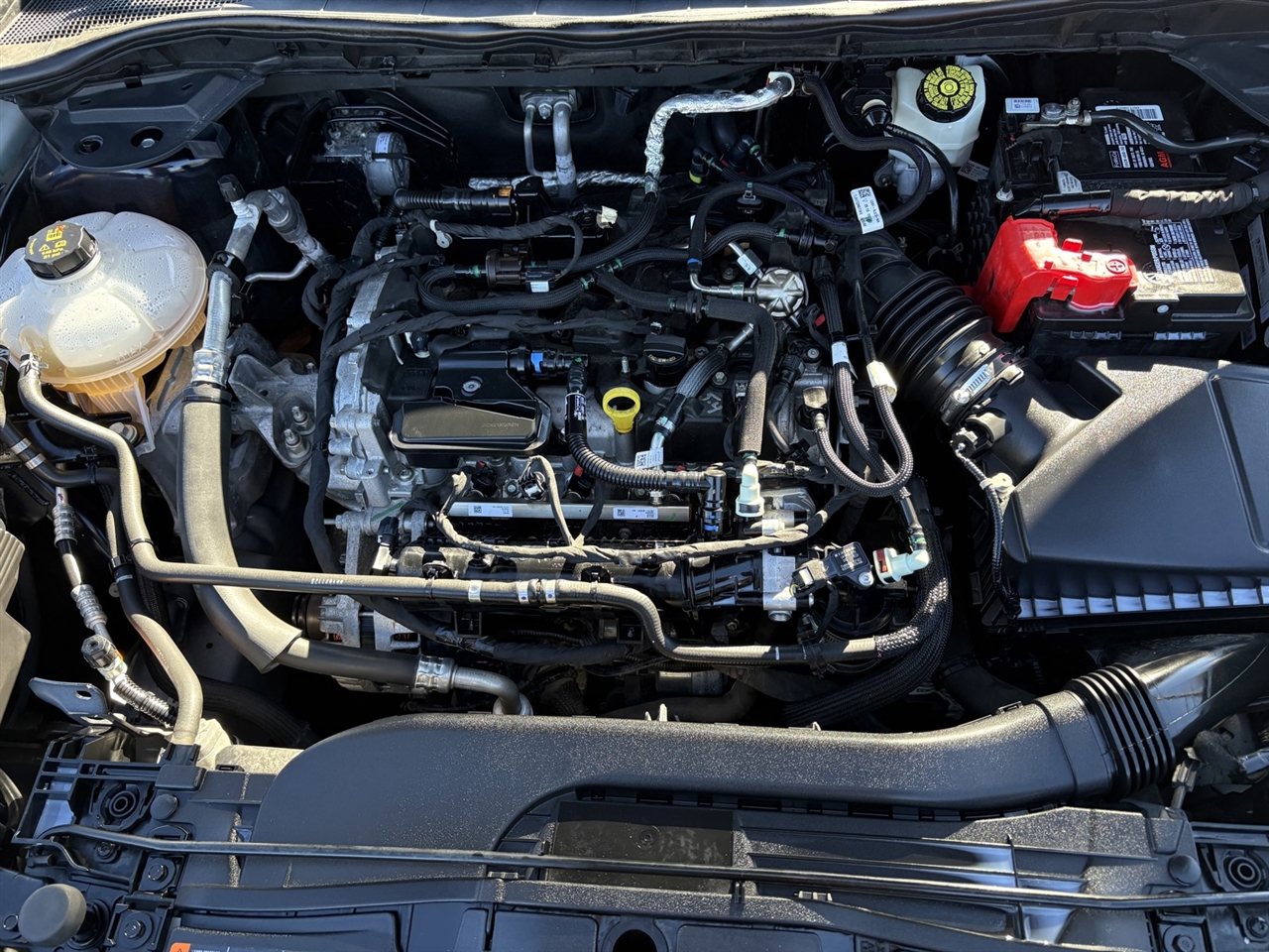 Ford Escape SE FWD 2021