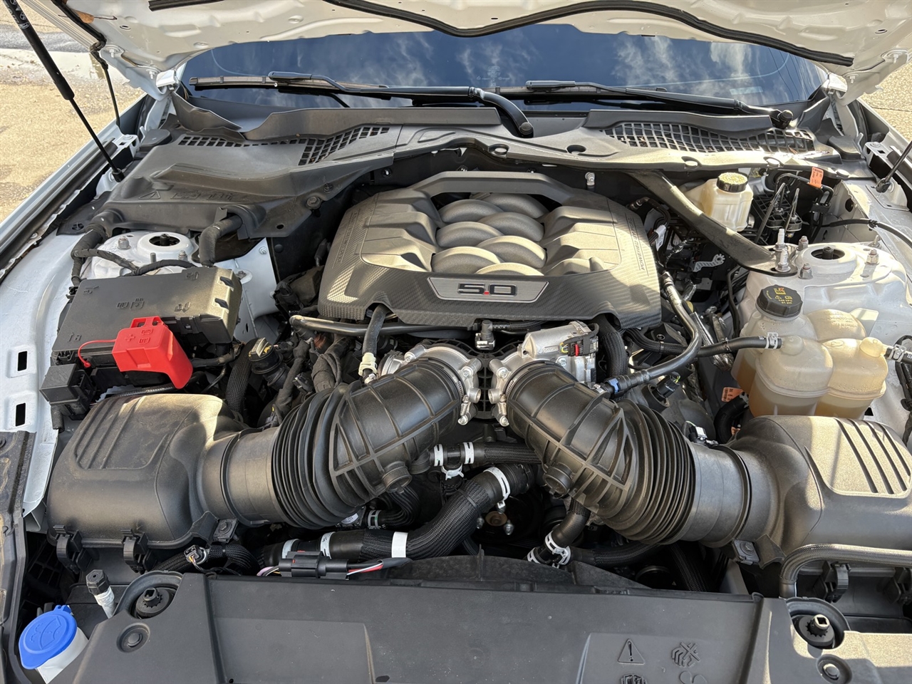 Ford Mustang GT Coupe 2024