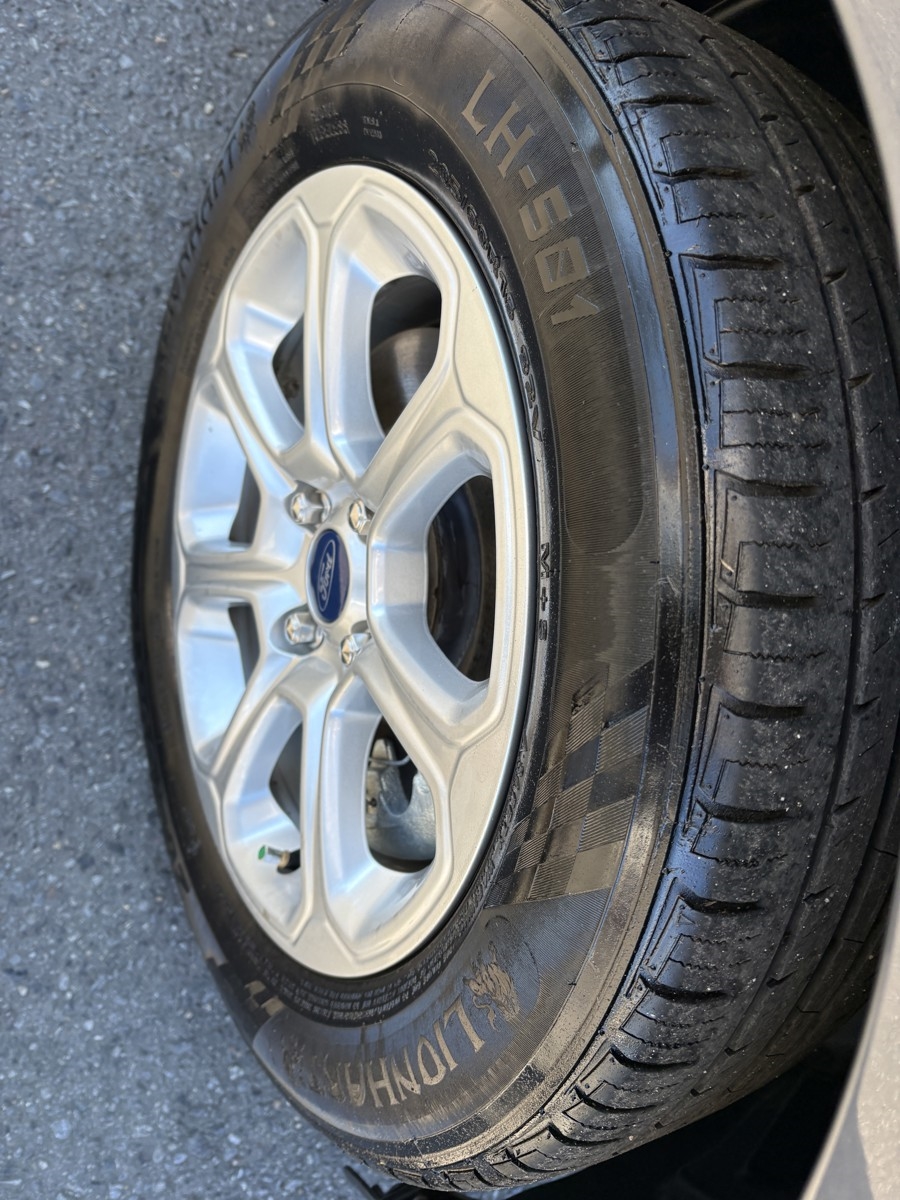 Ford EcoSport SE 2021