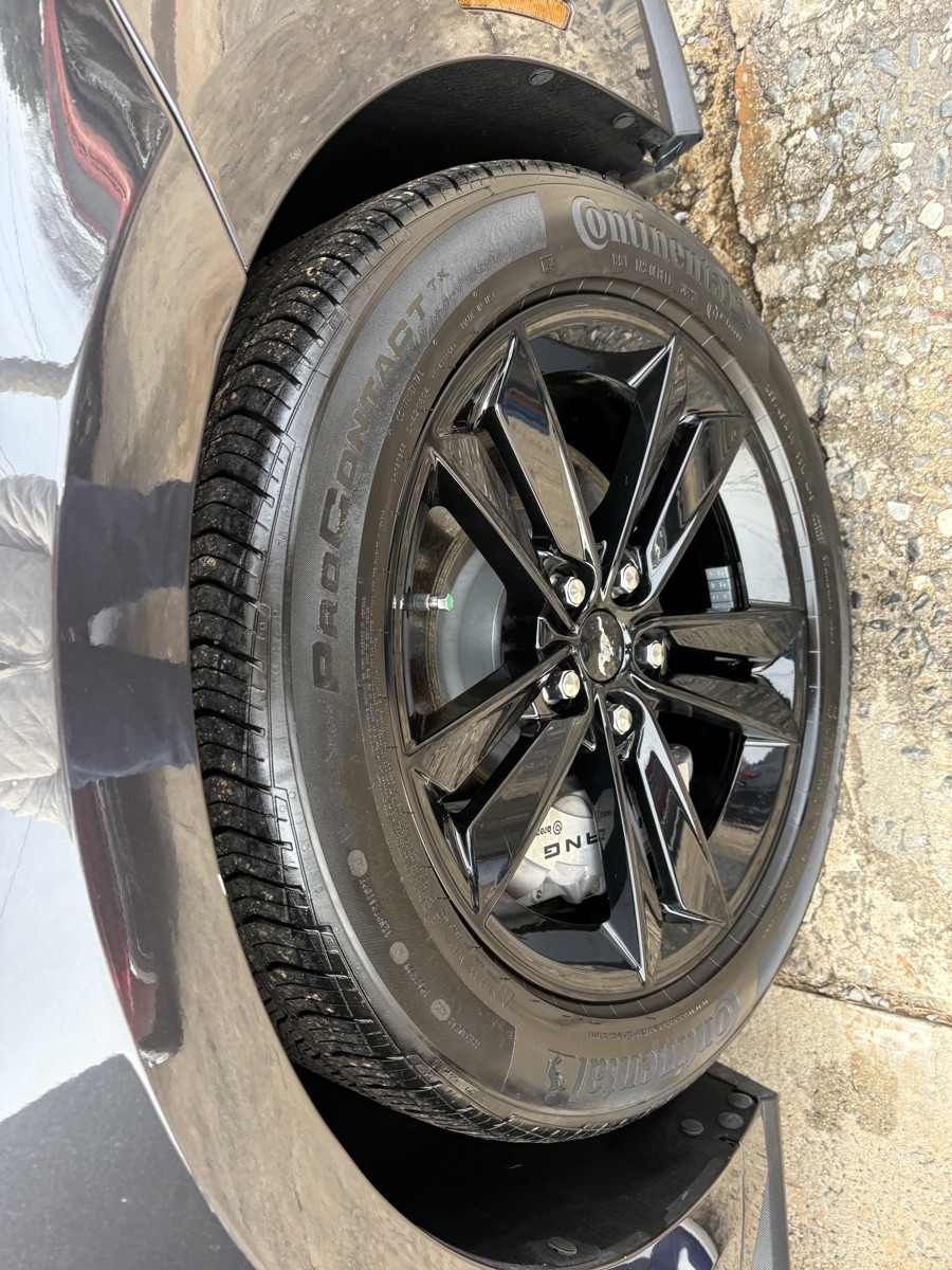 Ford Mustang GT Premium Coupe 2024