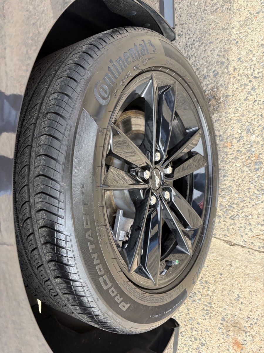 Ford Mustang GT Premium Coupe 2024