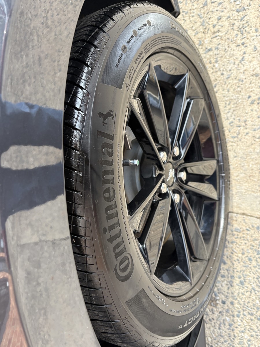 Ford Mustang GT Premium Coupe 2024