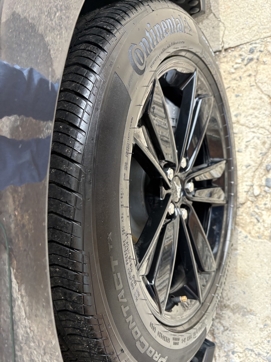 Ford Mustang GT Premium Coupe 2024