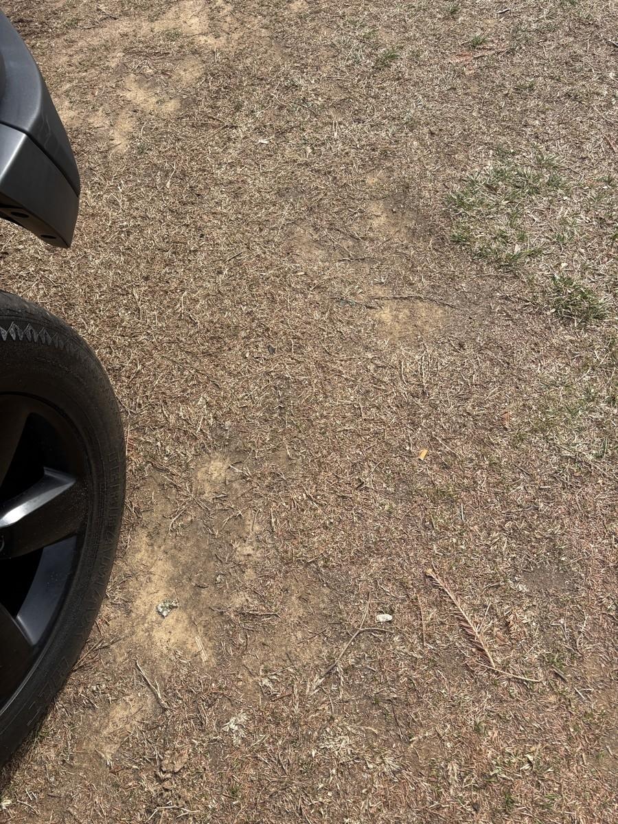 RAM 1500 Classic Tradesman Quad Cab 4WD 2020