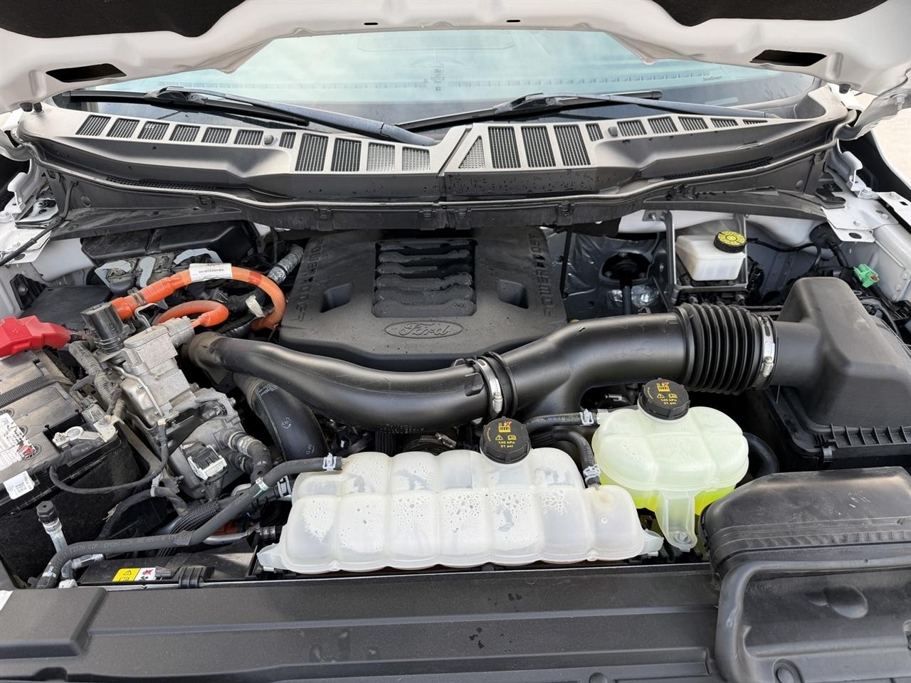 Ford F-150 Platinum SuperCrew 6.5-ft. Bed 4WD 2022