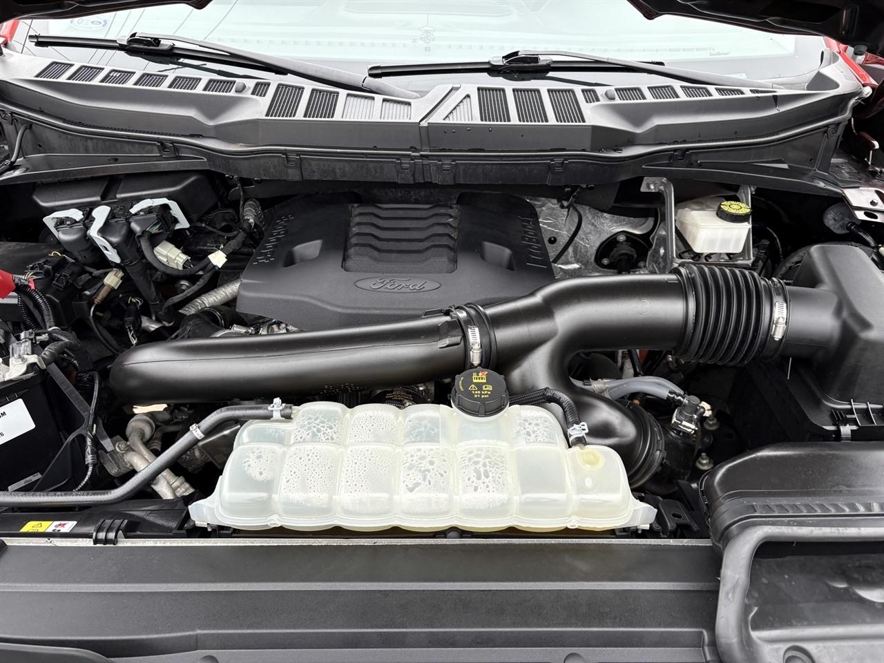 Ford F-150 XL SuperCrew 6.5-ft. Bed 4WD 2023