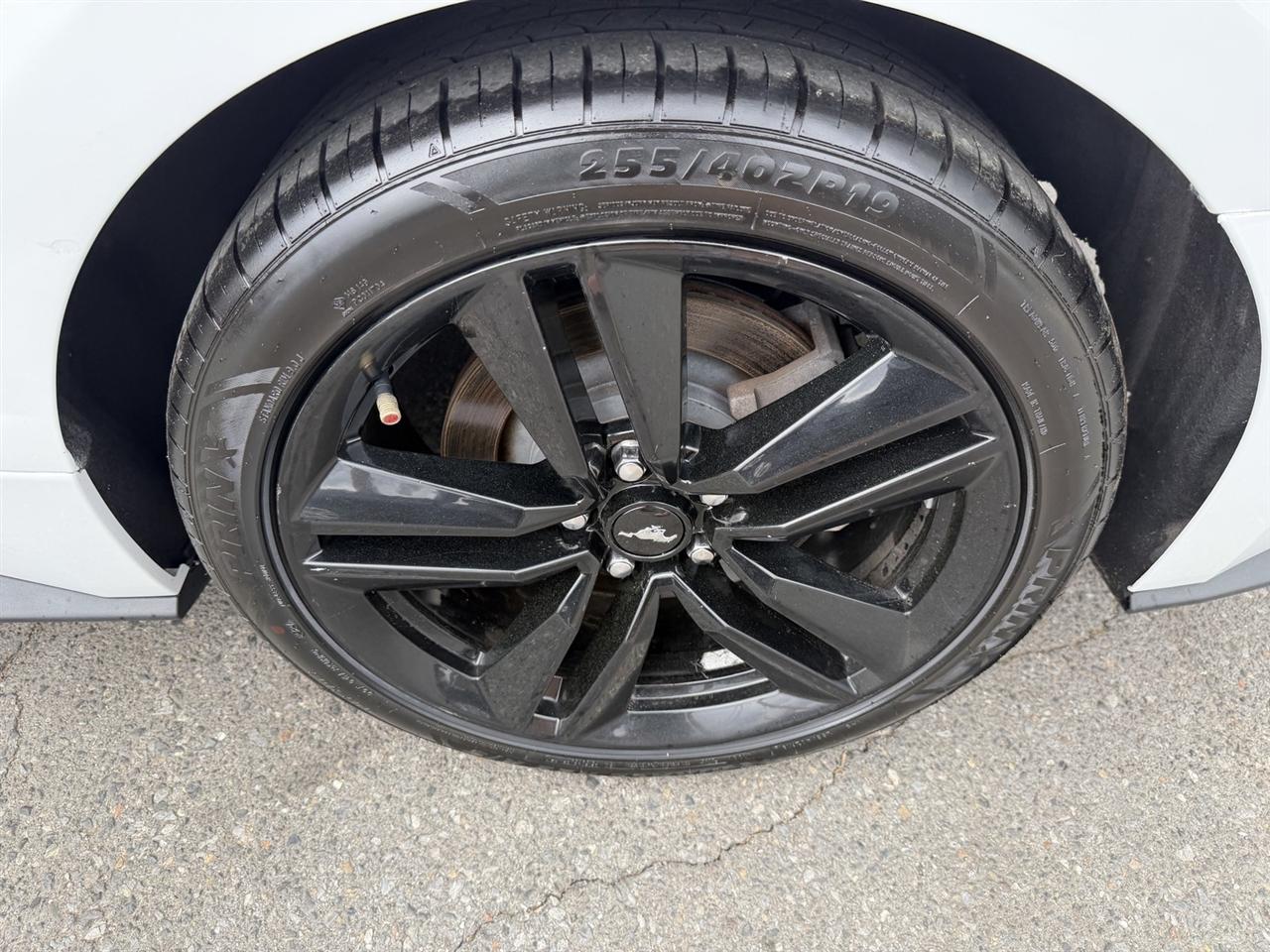 Ford Mustang EcoBoost Coupe 2017