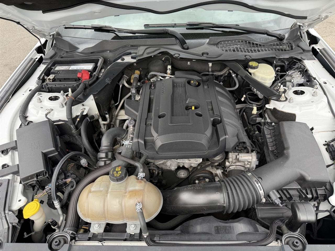 Ford Mustang EcoBoost Coupe 2017