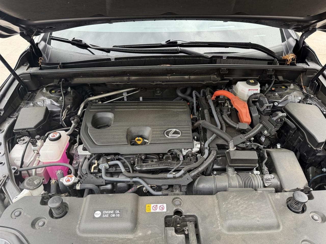 Lexus NX 350h Luxury AWD 2024