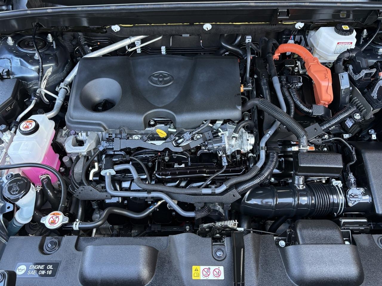 Toyota Venza XLE AWD (Natl) 2023