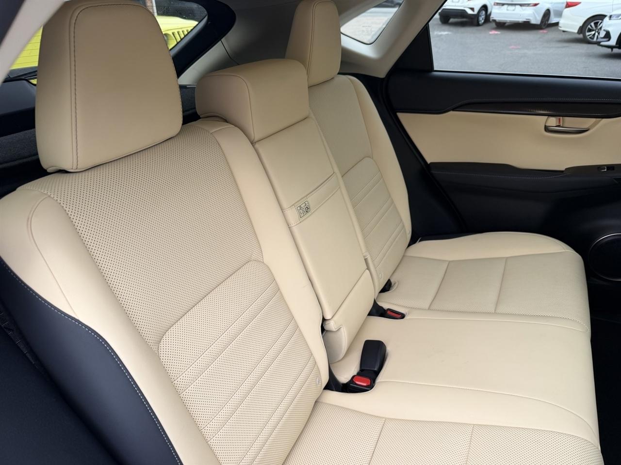 Lexus NX 300h Premium 2021