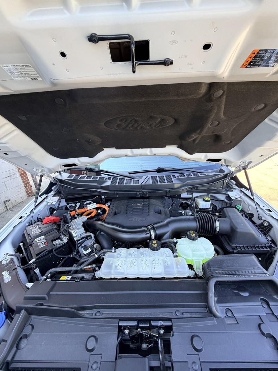 Ford F-150 XL SuperCrew 6.5-ft. Bed 4WD 2023