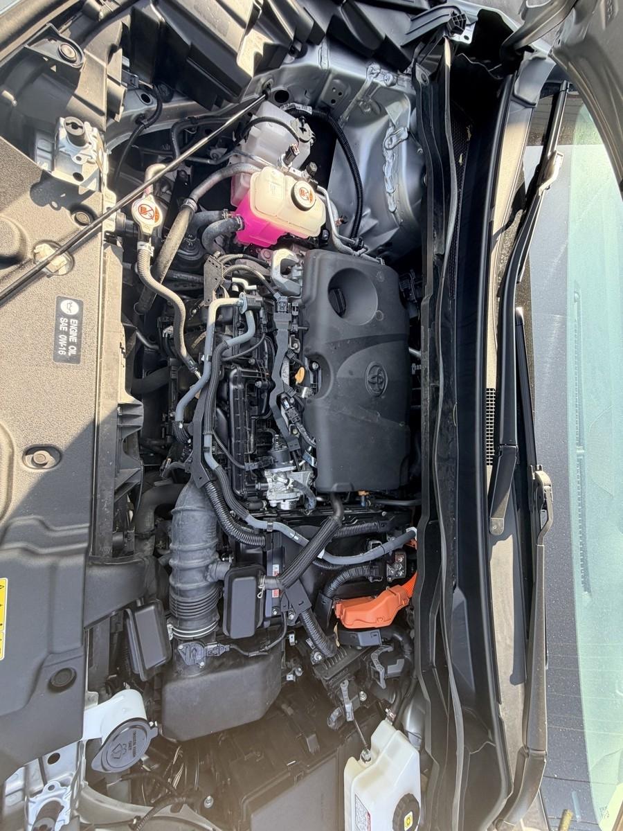 Toyota Sienna XLE 7-Passenger AWD 2023
