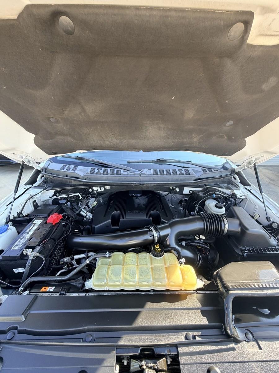 Ford F-150 XL SuperCrew 5.5-ft. Bed 4WD 2019