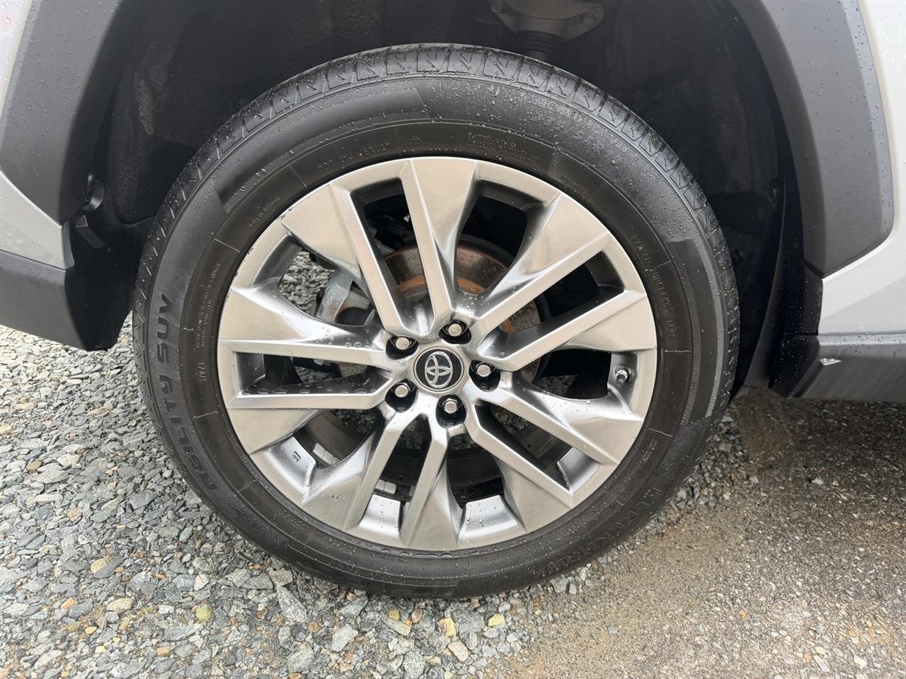 Toyota RAV4 XLE Premium 2019