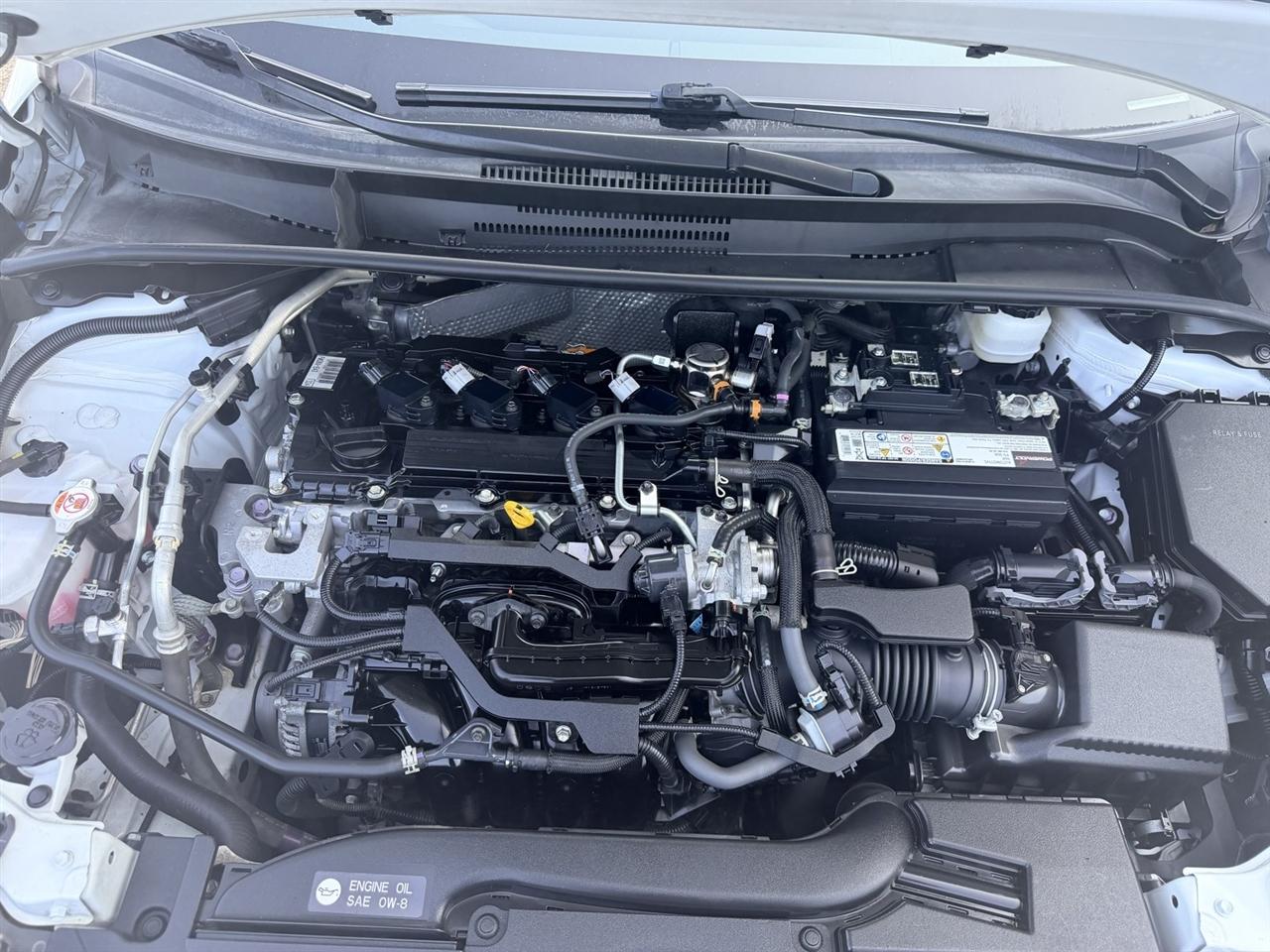 Toyota Corolla Others 2023