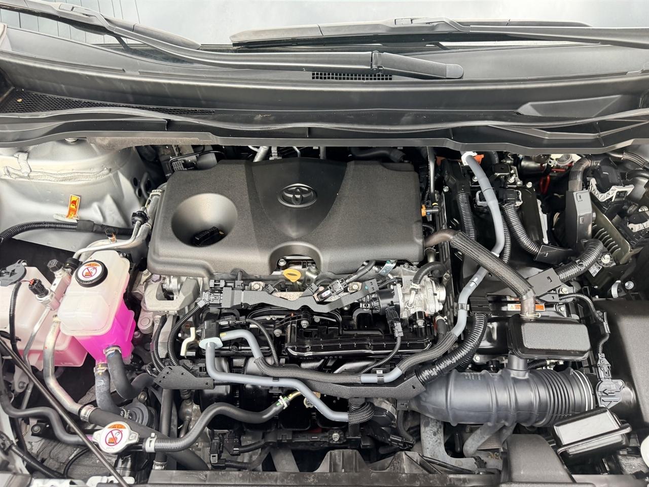 Toyota Sienna XLE 8-Passenger 2025