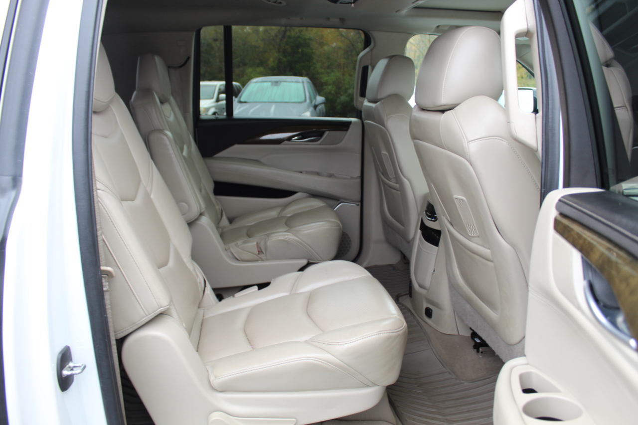 Cadillac Escalade ESV 4WD 4dr Premium Luxury 2020 Cadillac Escalade ESV 4WD 4dr Premium Luxury 2020