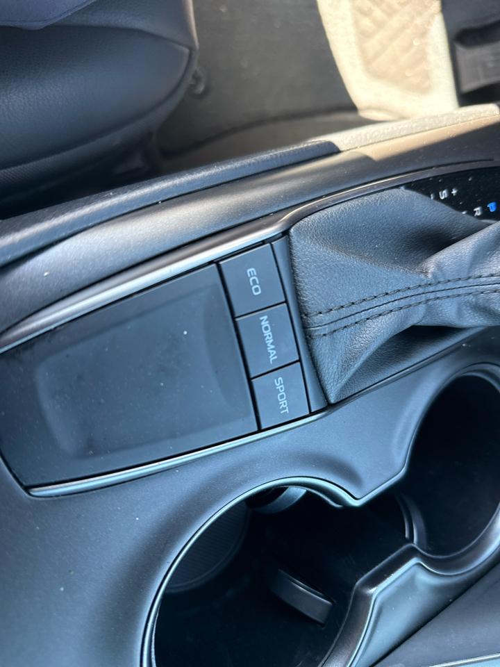 Toyota Camry SE Auto (Natl) 2024