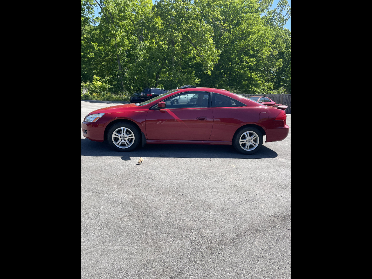 Used Cars for Sale Russellville AL 35654 Nick Ahmed Auto Sales