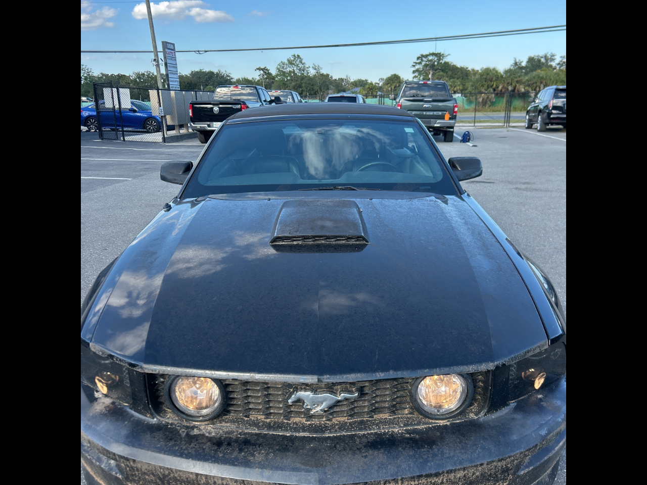 2009 Ford Mustang GT Premium